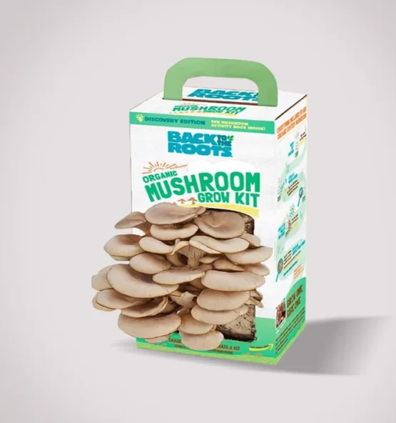 Custom Mushroom Kit Boxes 3 555x592