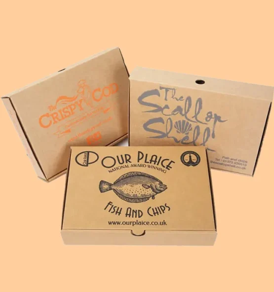 FISH BOXES 555x592