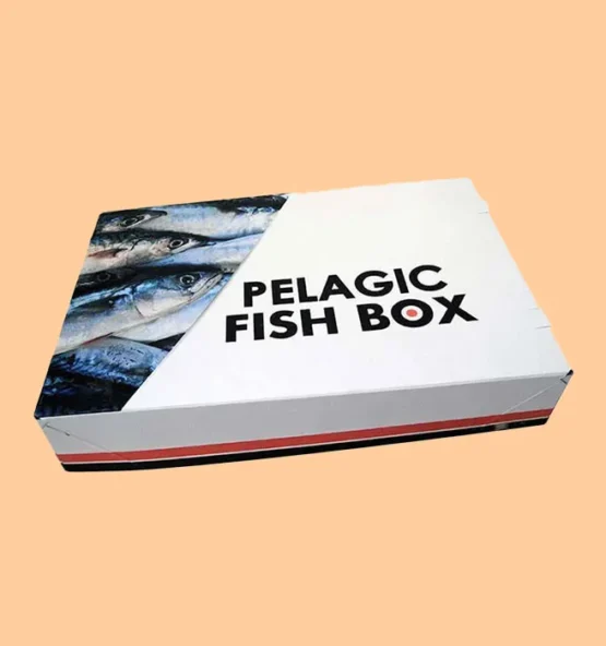 FISH BOXES3 555x592