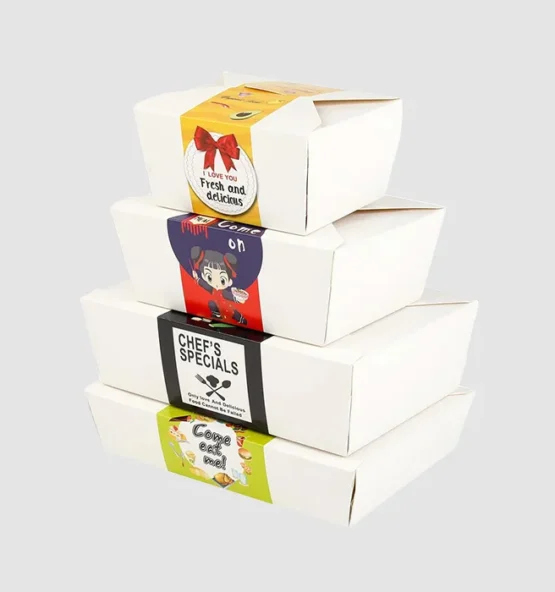 PAPER LUNCH BOXES4 555x592